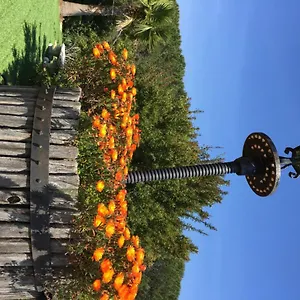 Domaine Du Mas De Peyres Apartment Cavalaire-sur-Mer